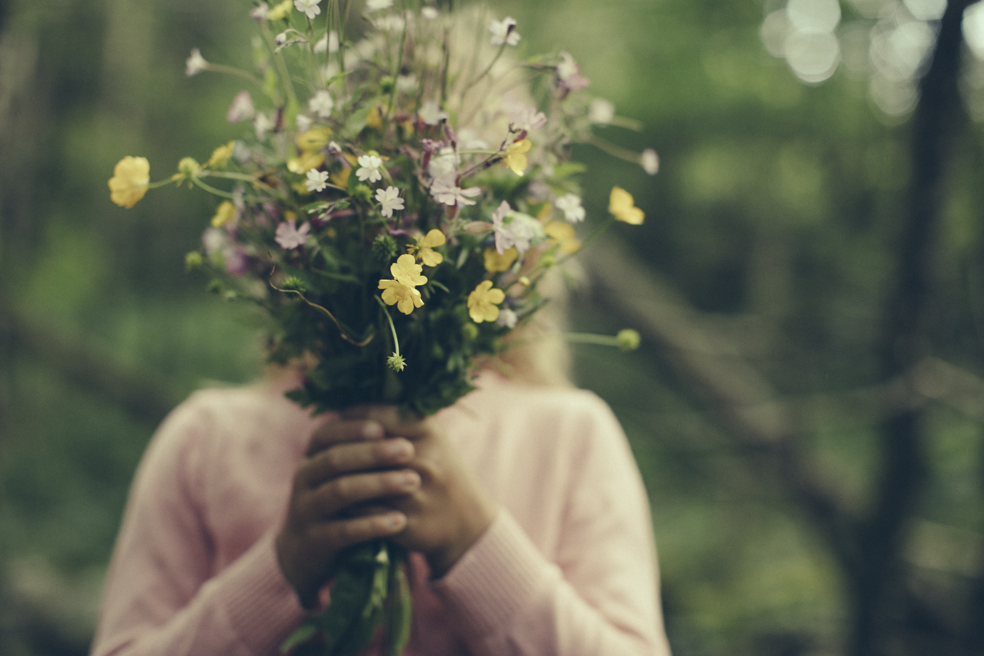 Sommerro parsell- og friluftsområde