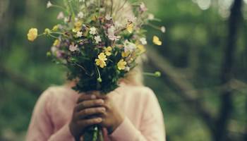 Sommerro parsell- og friluftsområde